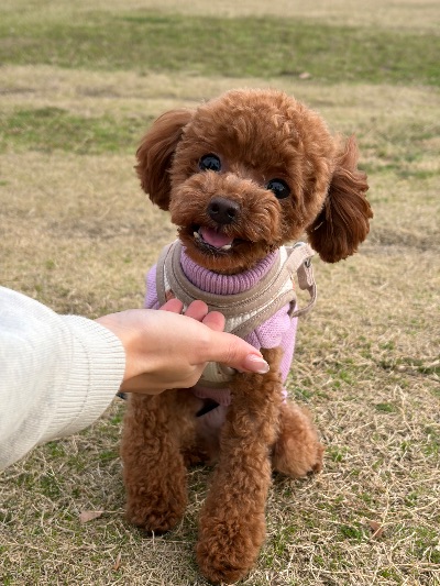 中洲 キャバクラ キャバ嬢日記