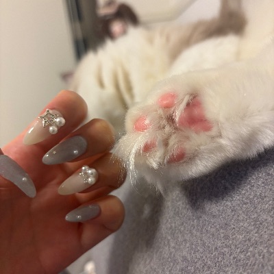 中洲 キャバクラ キャバ嬢日記