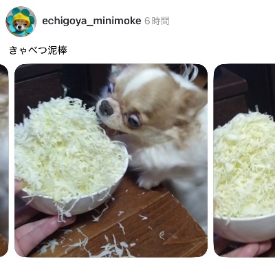 中洲 キャバクラ キャバ嬢日記