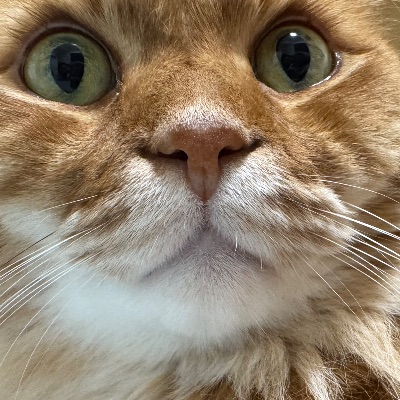 中洲 キャバクラ キャバ嬢日記