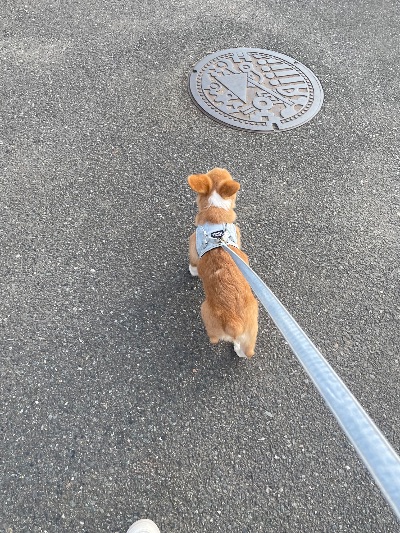 中洲 キャバクラ キャバ嬢日記