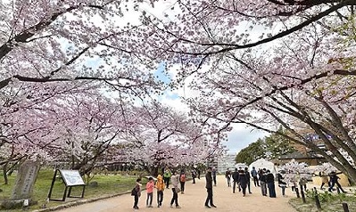 中洲 キャバクラ キャバ嬢日記