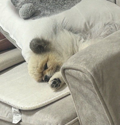 クラブ ライズ のあ 天使👼1