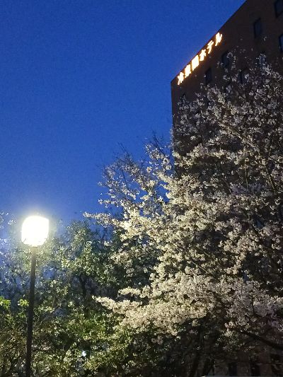 中洲 キャバクラ キャバ嬢日記